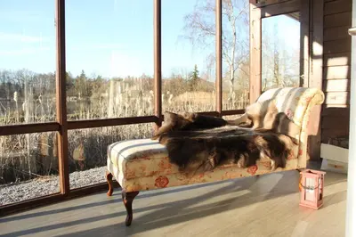 a dog laying on a couch in front of a window at My Secret Garden in Diepenbeek