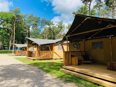 a group of wooden huts in a park at Familiepark Goolderheide in Bocholt