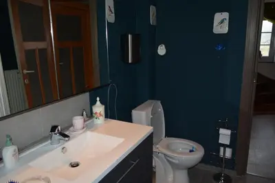 a bathroom with a toilet and a sink and a mirror at Julienne5 in Blégny