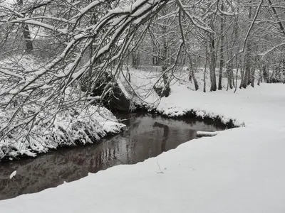 a river with snow on the ground and trees at Moka & Vanille in Heusden - Zolder