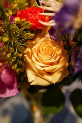 a bouquet of colorful flowers in a vase at De Mandenvlechter in Dilsen-Stokkem