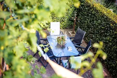a blue table and chairs with a potted plant on it at Bij de Zöster in Kinrooi