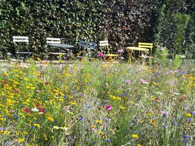 three chairs and a field of flowers in a garden at De Lokroep in Heers