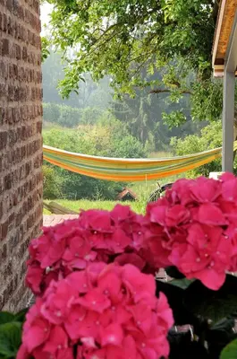 a bunch of pink flowers in front of a window at Boerderaaj vakantiewoning in Bilzen