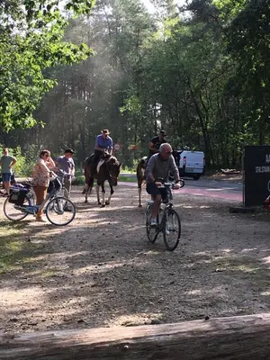 a group of people riding bikes and horses on a dirt road at Vakantiewoning Pelterheggen in Grote Heide