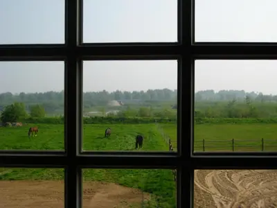a view from a window of a field with horses at Vakantiehuis Aen de Roderburgh in Maaseik