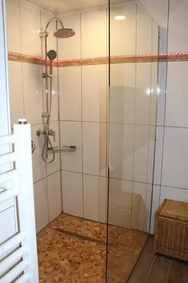 a shower with a glass door in a bathroom at Éco Gîtes Aubelrando & villa-bocage in Aubel