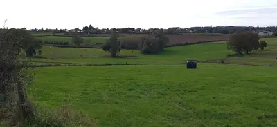 a large green field with a blue box in it at Maison en bois in Lontzen