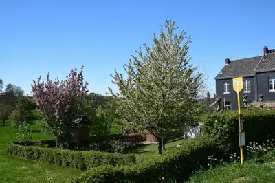 a house and a tree in a yard at Mille Fleur Apartments in Voeren
