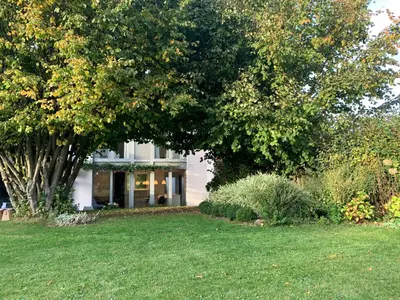 a large tree in front of a house at Wisteria Guest House in Villers-lʼÉvêque
