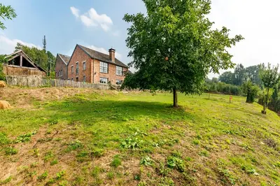 a tree in a field in front of a house at De Appelgaard in Sint-Martens-Voeren