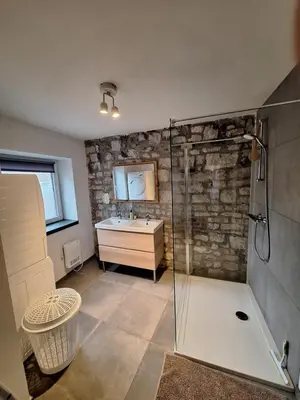 a bathroom with a glass shower and a sink at Gîte Cour Delhez in Olne