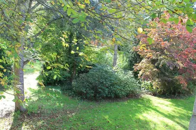 a garden with trees and bushes in the grass at Beau Reg'Art in Hasselt