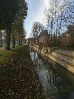 a canal in a city with houses and trees at Vakantiewoning Upstairzzz in Kortessem