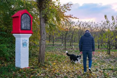 a person walking a dog next to a bird house at Hasbania Vakantiewoning in Gingelom