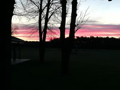 a sunset with two trees in a field at Kamphuis Heideven in Peer