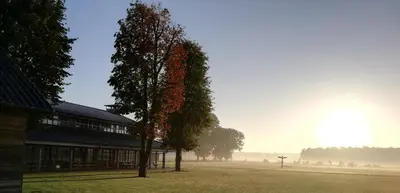a tree in a field next to a building at Kamphuis Heideven in Peer