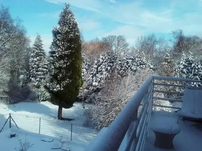 a snow covered tree in a yard with a fence at B&B Chatelet Cremers in Verviers