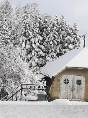 a snow covered cabin with a pine tree behind it at B&B Chatelet Cremers in Verviers