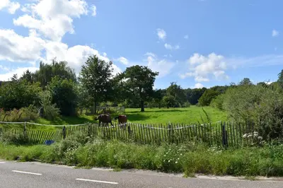 two horses grazing in a field behind a fence at Vakantiewoning Veurservallei in Voeren