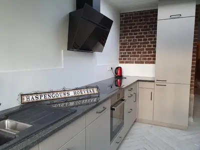 a kitchen with a sink and a tv on the wall at Haspengouws Hoeveke in Borgloon