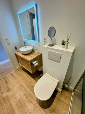 a bathroom with a toilet and a sink and a mirror at Le Boisseliège in Liège