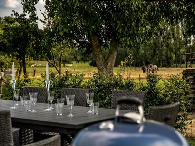 a table with glasses on it with an elephant in the background at Peaceful Peer Holiday Home in Peer