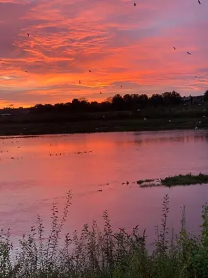 a sunset with birds flying over a body of water at Maashuys in Lanaken