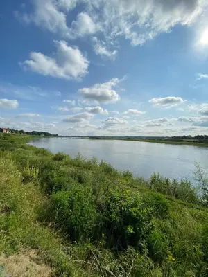 a view of a river under a cloudy sky at Maashuys in Lanaken