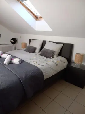 a bedroom with a large bed with a skylight at De achtertuin in Maasmechelen