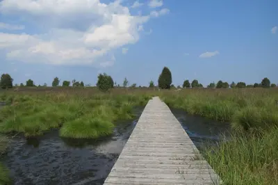 a wooden bridge over a river in a field at Chalet M in Eupen