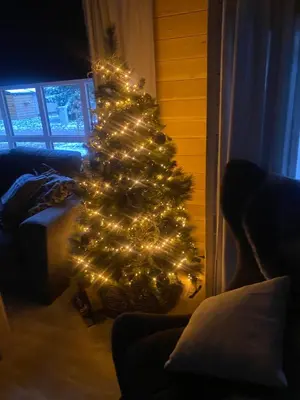 a christmas tree with lights in a living room at Chalet Sint-Hubertus Deluxe in Zutendaal