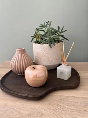 a table with a donut and a potted plant on a tray at Vakantiewoning Laurijn in Bilzen