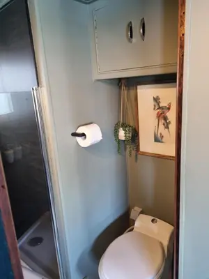 a small bathroom with a toilet and a shower at La Cabine du Capitaine in Liège