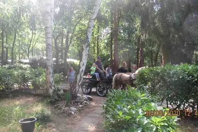 a group of people sitting in a horse drawn carriage at Nieuw vebouwd Vakantie Boshuisje Meibloempje in Lanaken