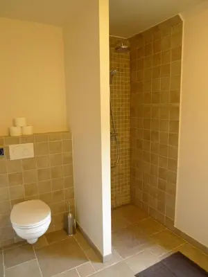 a bathroom with a toilet and a shower at B&B Haspenhoeve in Tongeren