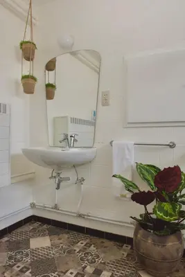 a bathroom with a sink and a mirror and a plant at Vakantiewoning Oudsbergen in Oudsbergen