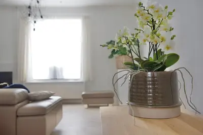 a vase of flowers on a table in a living room at Vakantiewoning Oudsbergen in Oudsbergen