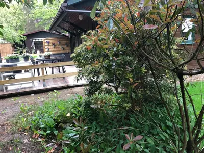 a garden with a wooden bench and a picnic table at Chalet Harmony in Zutendaal
