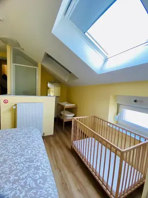 a room with a bed and a skylight at Les gîtes du Broukay - Alouette in Bassenge