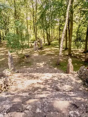 a path in a wooded area with rocks and trees at Les gîtes du Broukay - Alouette in Bassenge