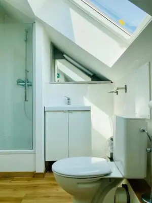 a bathroom with a white toilet and a skylight at Les gîtes du Broukay - Alouette in Bassenge