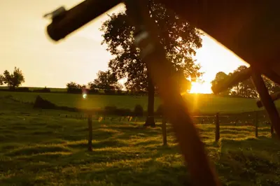 a sunset in a field with a fence at Le Relais d'Artagnan - relais équestre in Mortier