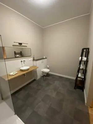 a bathroom with a sink and a toilet at B&B Het Doctershoes in Kinrooi