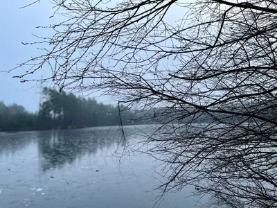 a view of a body of water with a tree at Ellé'Belle Oudsbergen 1-, 2- or 3-Bedrooms in Oudsbergen