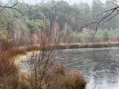 a view of a river with trees in the background at Ellé'Belle Oudsbergen 1-, 2- or 3-Bedrooms in Oudsbergen
