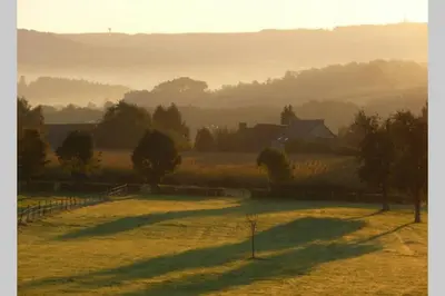 a shadow of a tree on a field at Hoeve Espewey Cottage in Hombourg