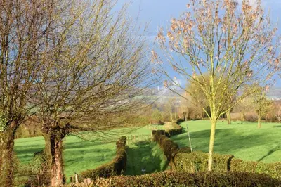 a green field with trees and a fence in the foreground at Hoeve Espewey Cottage in Hombourg