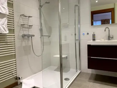 a bathroom with a glass shower with a sink at Gite de Caractère Le Lys Bleu in Limbourg