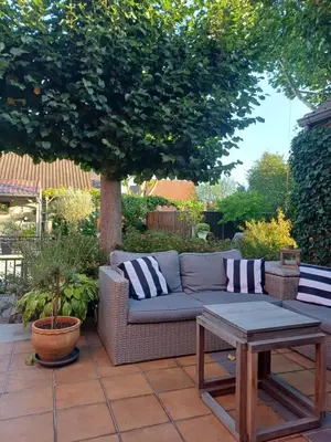 a couch sitting on a patio under a tree at B&B Le Jardin in Pelt